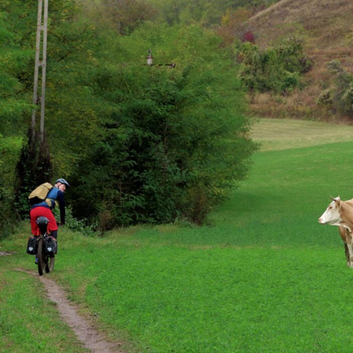 Transylvanian Gravel Odyssey - 9-Day Guided Cycling Adventure - Saxon Villages of the Heartland